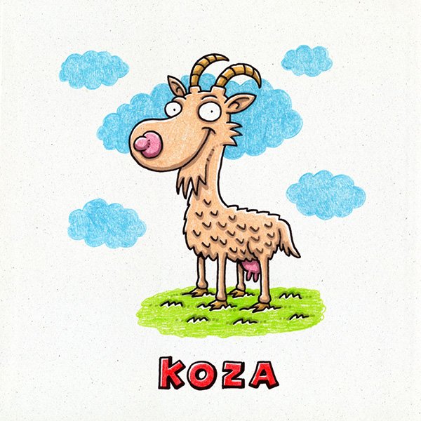 Koza
